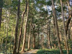 -西湖风景区十里琅珰-五云山