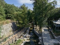 -白水寺森林公园