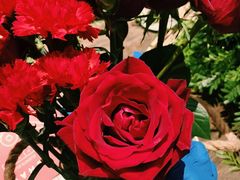 -北京三里屯CHAO酒店