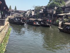 -西塘人家•黑金冠本地好店