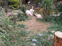 -昆明动物园