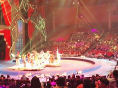 -珠海横琴长隆《卡卡虎奇遇记》