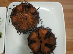 -海胆小馆(东北水饺·春柳店)