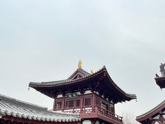 -兴隆文化园景区