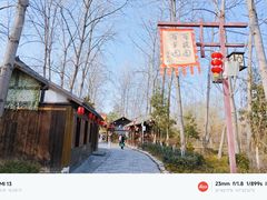-合肥滨湖国家森林公园
