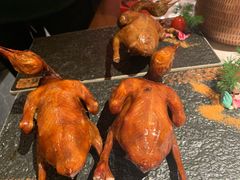红烧鸽-大鸽饭(岗顶店)