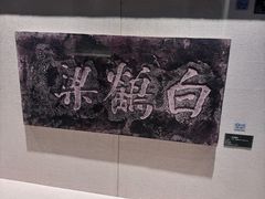 -白鹤梁水下博物馆