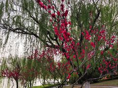 -云龙湖旅游景区