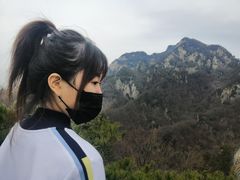 -王顺山国家森林公园
