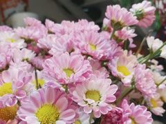 鲜花-小时光咖啡馆(北锣鼓巷店)