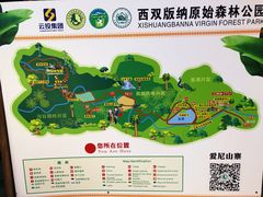 -西双版纳原始森林公园