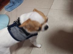 -肯德基(汤逊湖店)