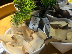 -一善菌·云南菌汤·云南菜(银泰城店)