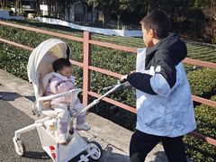 -午潮山国家森林公园