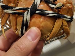 -武汉武昌威斯汀酒店-知味自助餐厅