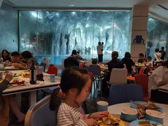 -帝企鹅自助餐厅•儿童岛•真企鹅(长隆企鹅酒店)