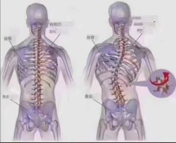 -星港国际·Skin皮肤专研·皮肤管理