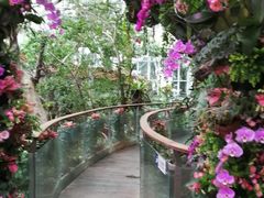-正佳雨林生态植物园