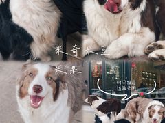 -时间抽屉(裕华万达广场店)
