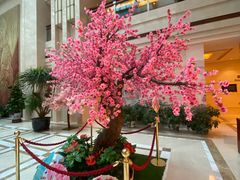 -天泰宾馆婚宴·宴会厅·婚礼堂