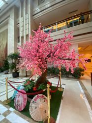 -天泰一站式婚宴·宴会厅