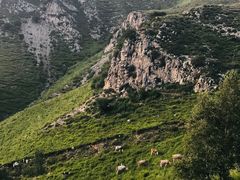 -灵山