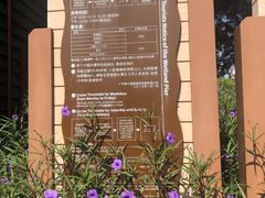 -大湾区中央湿地公园