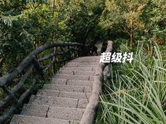-梧桐山风景名胜区