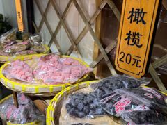 -苏州市吴中区光福窑上花果蜜饯厂