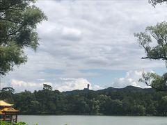 -清真喜兰老丁羊汤特色小吃