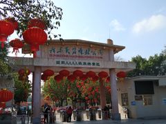 -广东茂名森林公园