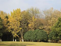 -灵谷景区