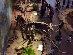 -自贡恐龙博物馆