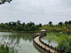 -嬉乐湾休闲旅游区