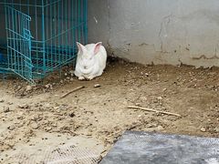 -枫叶小镇奥特莱斯