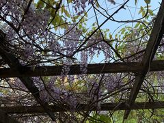 -白塘生态植物园