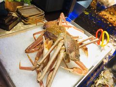 -乔哥铭洋海鲜自助(皇城恒隆广场店)