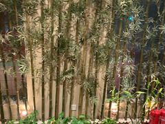 -乾山寿司(好运街店)