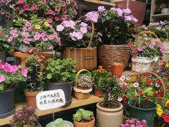 -循礼门鲜花花市(武汉循礼门店)