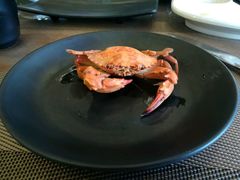 -悦巷海鲜自助铁板烧(秦皇东大街店)
