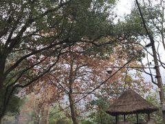 -渣滓洞