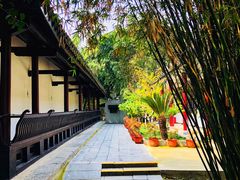 景点-包公祠