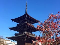 -医王山·飞騨国分寺