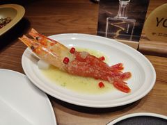 生腌大红虾-喜鼎海胆水饺(东港店)