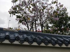 -人民公园(罗湖区)