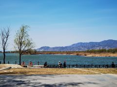 -野鸭湖国家湿地公园