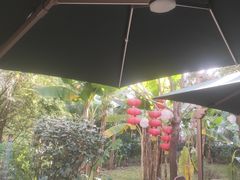 -顺德渔村·岭南一号