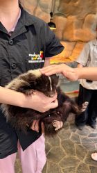 -Zoolung Zoolung动物主题公园(海信广场店)