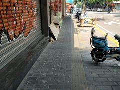 -瑞派旺宝宠物医院·犬猫全科综合·尿道专科(莲兴院)