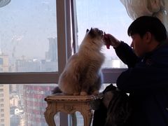 -共舞时光猫咖·狗咖(新街口店)